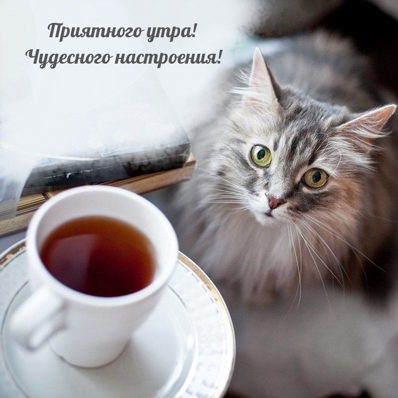 � ������ �����, ������ �������������� ������!