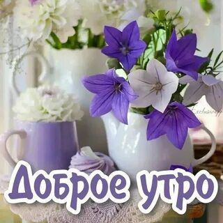 � ������ �����, ������ �������������� ������!