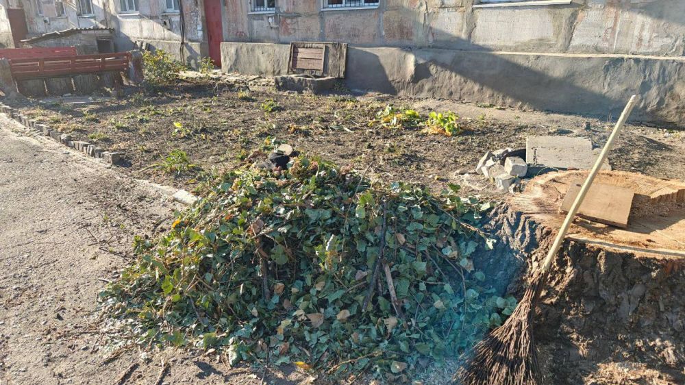 �������� ��������: ������������ ������ ���������� ������ �� ������ �������