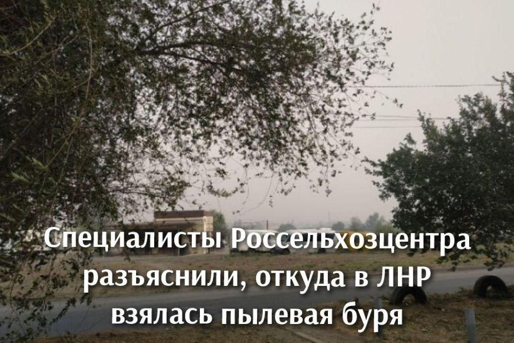 ������� ���� � ���: ������� � ������������ �� ���������� ����������������