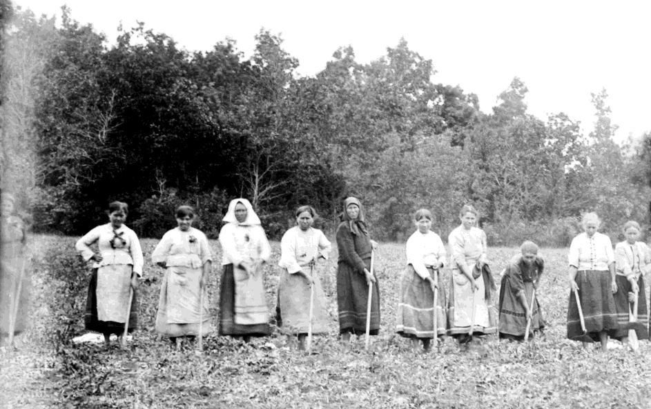 Станично-Луганскому лесоохотничьему хозяйству исполнилось 100 лет, сообщили в Минприроды ЛНР и поделились архивными кадрами