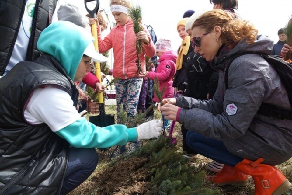 ����� 180 �������� ����� �������� �������� ������� � ��� � ����� 2024 ����