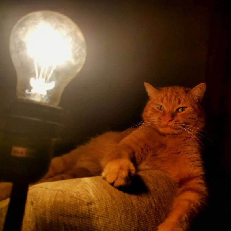 ��������! ���������� ��������������!