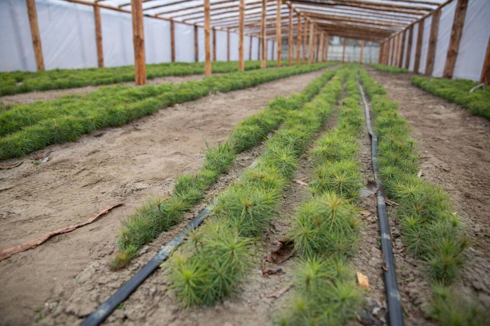 ������� � ������ ���� �������� �� ���������� ��� 183 �� ����, ����������� �� ������������������ ����������� � ������� � ������