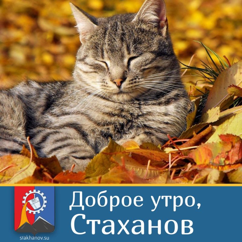 � ������ �����, �����. �������� �������. ������� �������