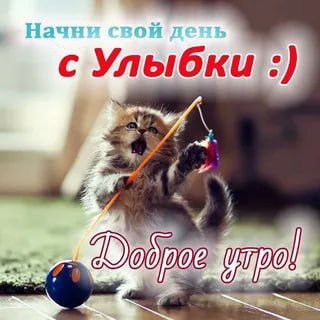 � ������ �����, ������ �������������� ������!