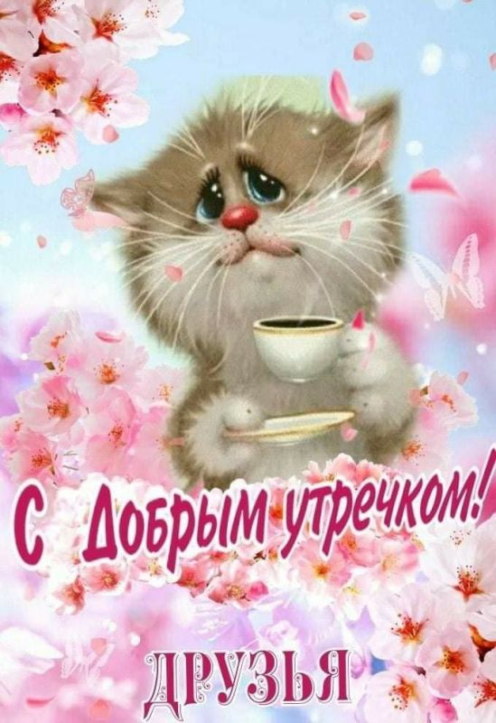 � ������ �����, ������ �������������� ������!