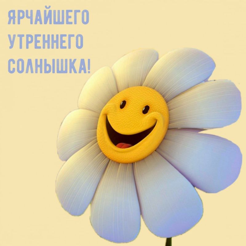 � ������ �����, ������ �������������� ������!