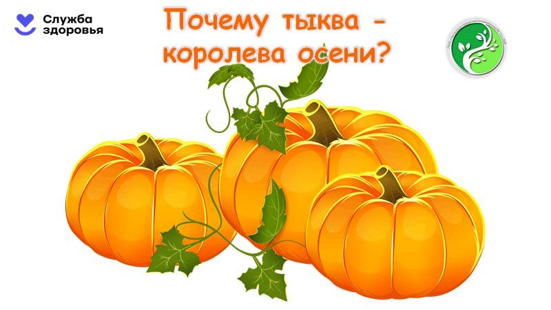 ������ ����� �������� �����? � ���� ������� ��������� ��������� �������� � ����������, ��������� � �������� ������ ���������� � ������������� ������� ����