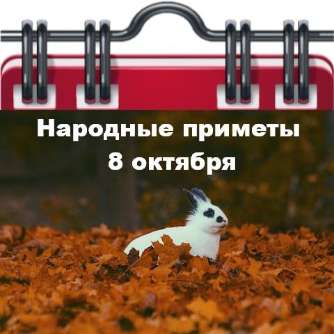 �������� ������� 8 �������