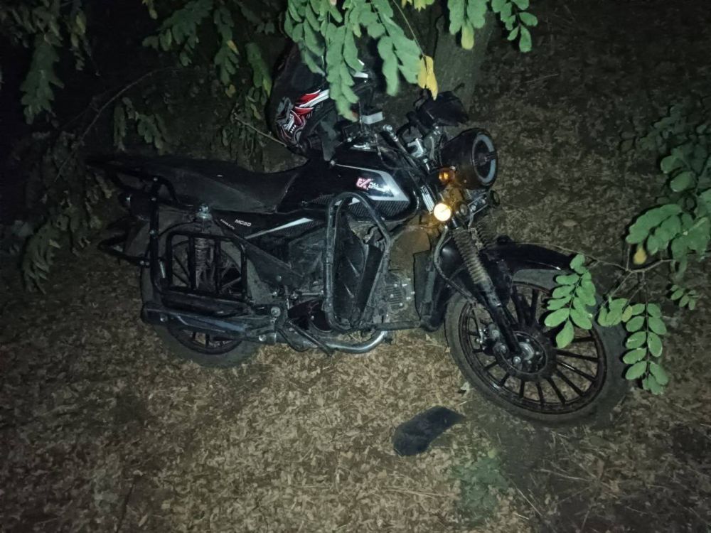 � ������������ ������������� ������ ��������� ��� � �������� ������������������� �������� ��������������