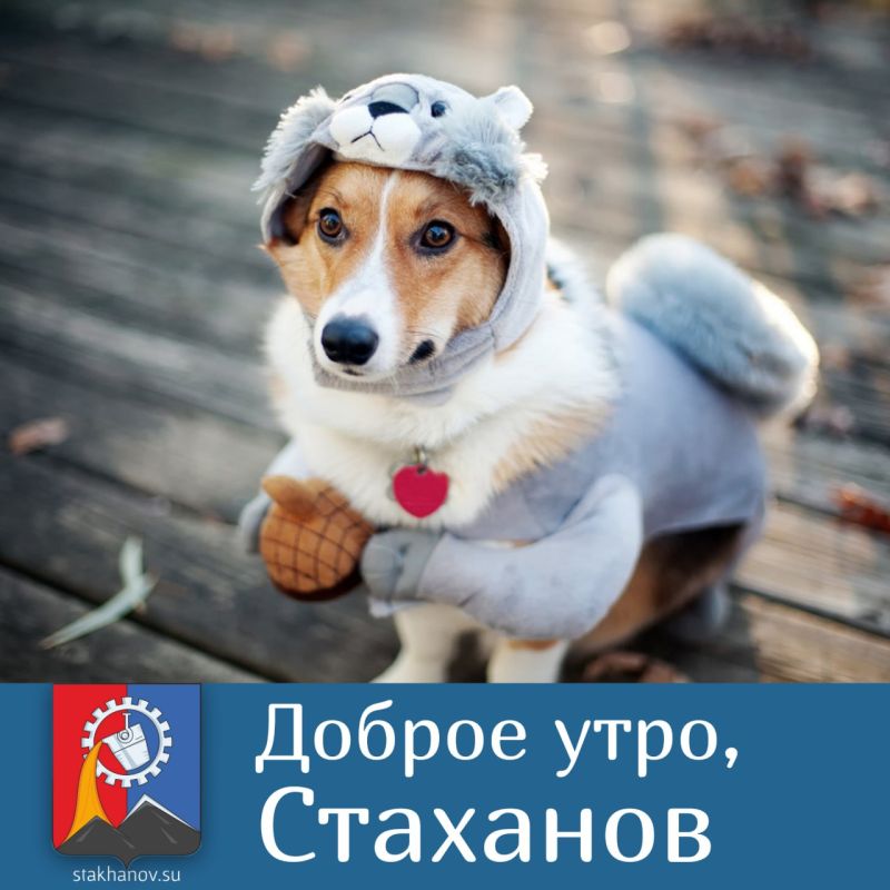 ������ ����, ��������!. ����� �� ��� ������ � ������, � ������� � ����� ���������� � ���� ������ ������ � �������� ��� ��...
