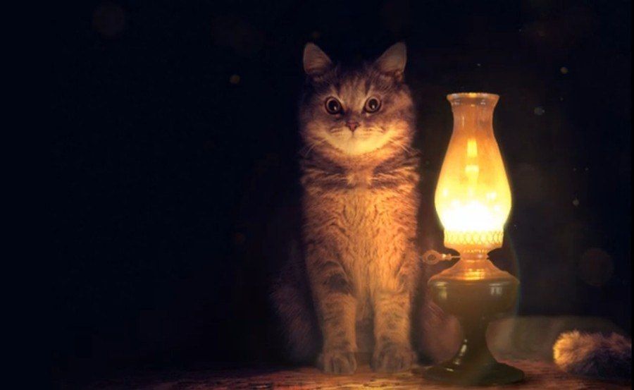 �������� ���������� �������������� 09.10.2024