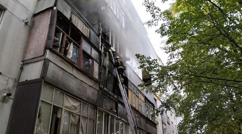 ����������� ���, ������� �������� � ������ �������� � ���������, ��������� � ���� �������� ������