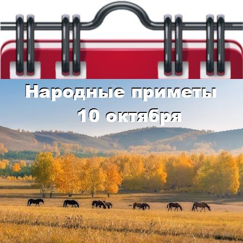 �������� ������� 10 �������