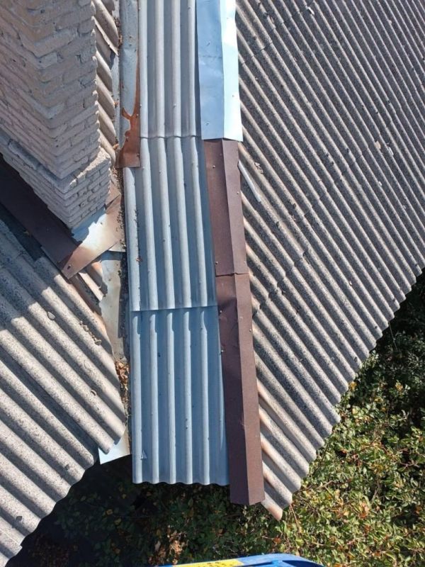 ��������-����������������� ������� ���� ��������������� ������ �����-��������� � ������������������