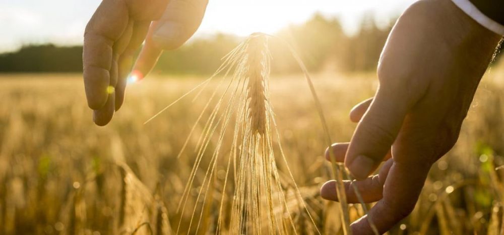 ��� � ���������� ������ ��������� ���������� � �������������� �� �������� �������� ����������������� ��������� ����� ��������, �������� � �����-������ �����