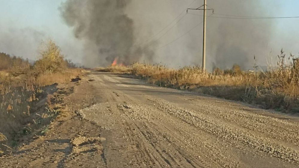 ������� ��������: ��-�� �������� ����� ������ ��������� ���������� ������ �� ������ �. ������