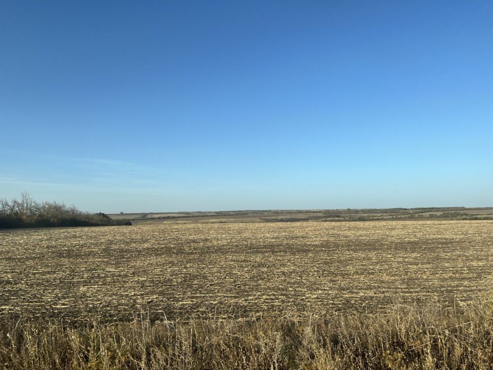 � ������ �����, ������ ����������� �������������� ������!