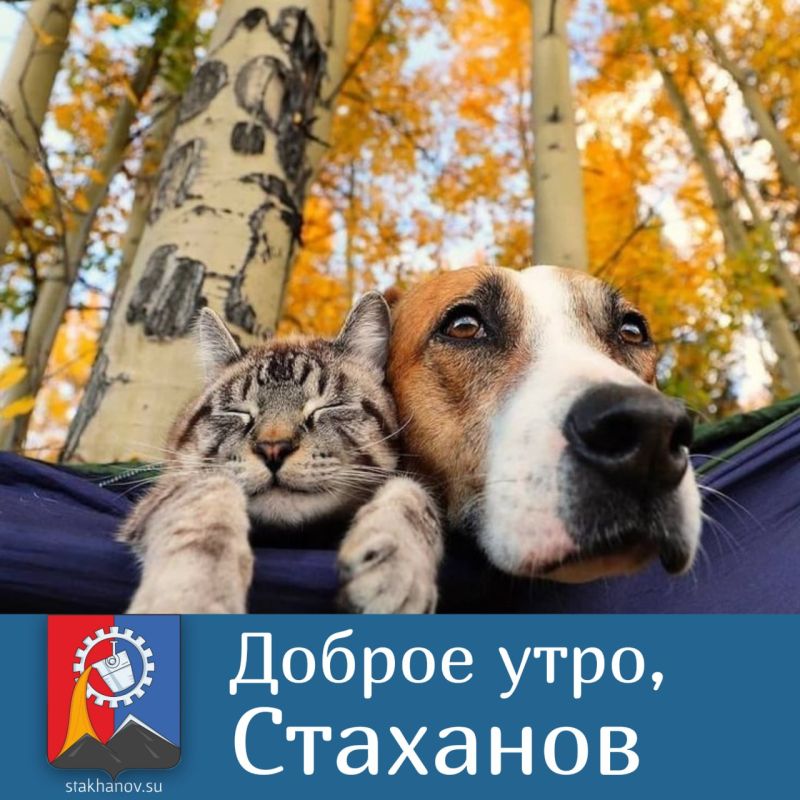 ������ ����, ��������. ������ � ������� �������� - ������� �������! ��� ������� ��������� � � Telegram #�������� #�������_���������