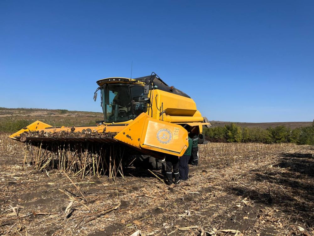 Олег Савченко: Дорогие труженики села и работники перерабатывающей промышленности, ветераны сельскохозяйственной отрасли!