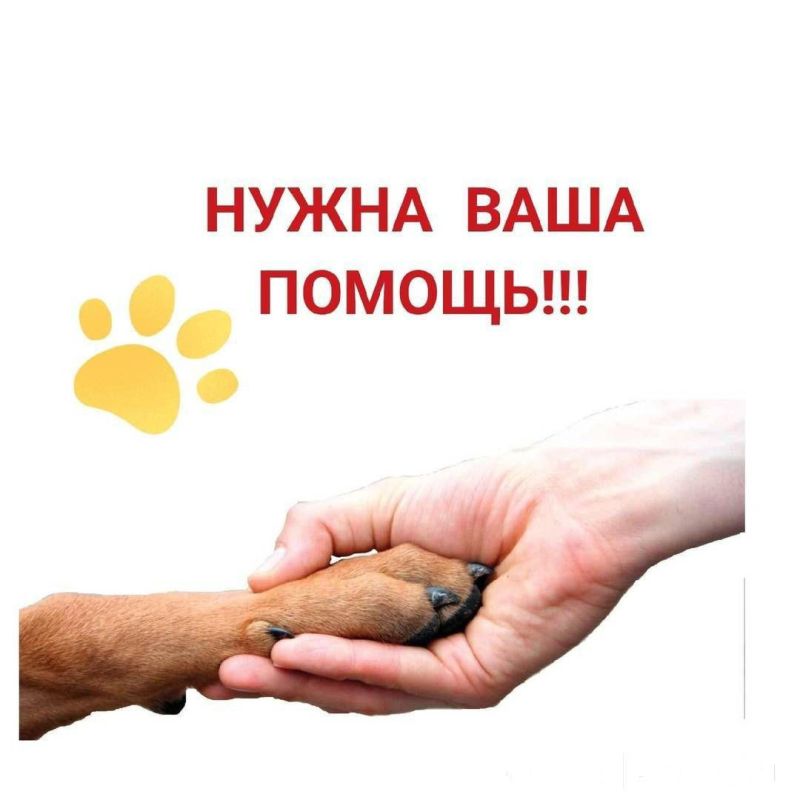 ������, ������� ����� "������ ���" �.��������, ������� ���������� � ����� 2014 � ������ ��������� � ���� ���������� ���...