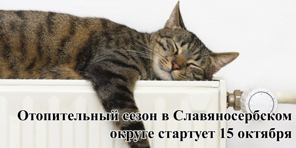 ������ ����������: � ���������� ��������� ��������� ������ �������� ������������� � ������ ������������� �������, �...