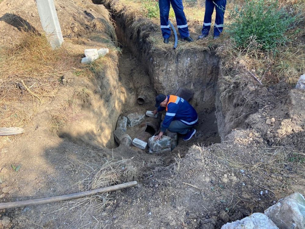 ����� �����: ����������� �� ���������� ������� ����������� ������� ������������� � ��������