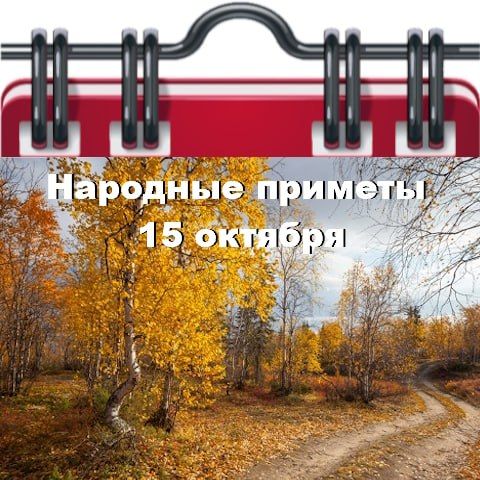�������� ������� 15 �������