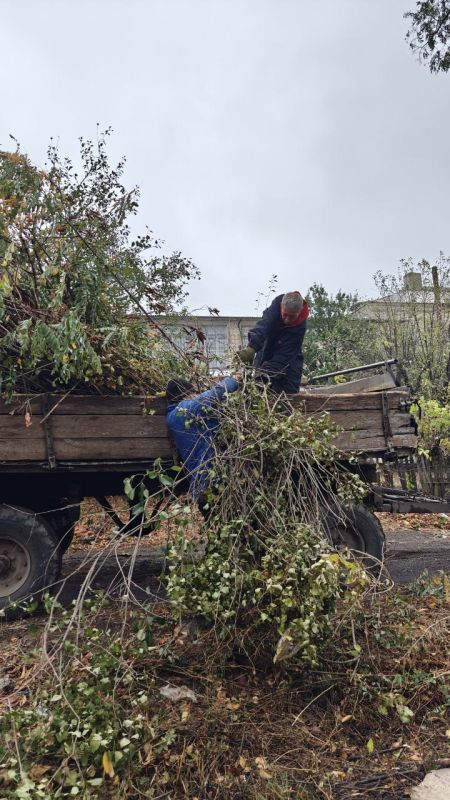 �������� ��������: ������������ ������ ���������� ������ �� ������ �������