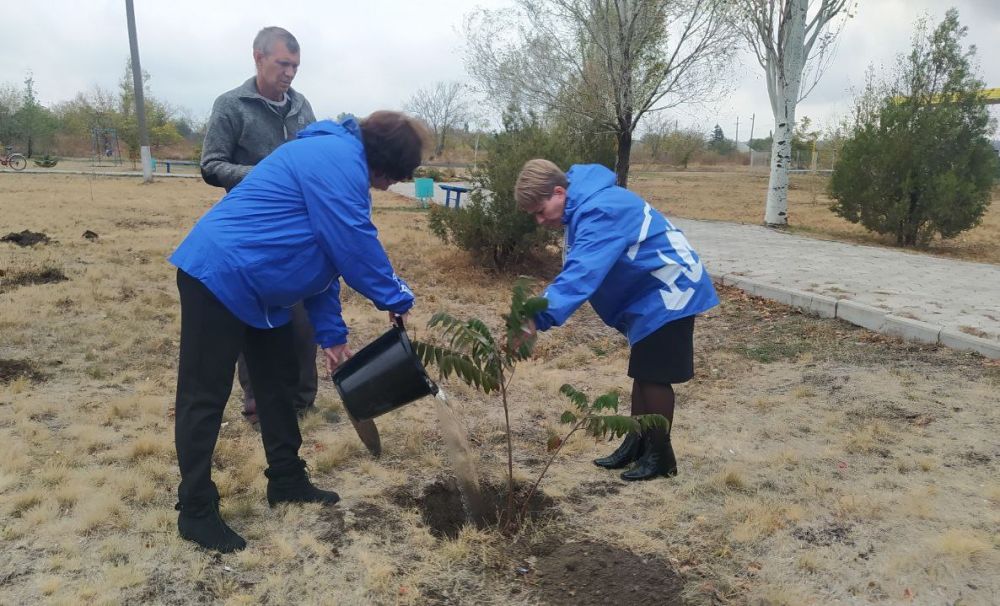 ������� ������: ��������� ������ ������� ������� �.���������� ������� ����� �� ������� �������� �� ���������� ������ ���������� ��������