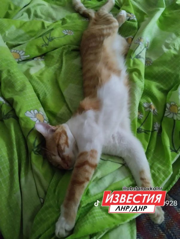 18 ������� �� ���������� ��������� ������� � ������������