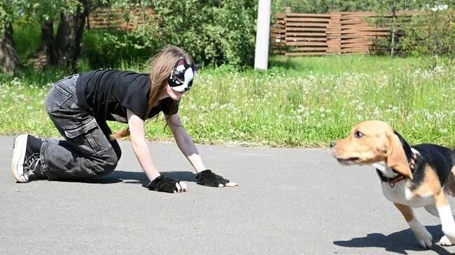 �������� ����������� �� �������� �������� �������� � ��������������� ����������� ���