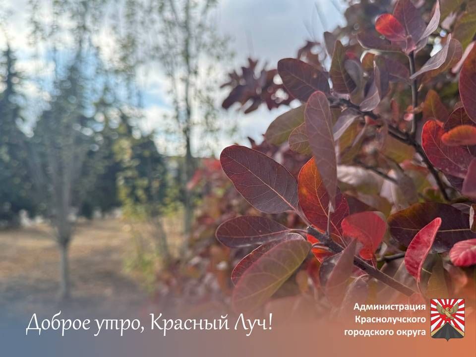 ������ ����, ������������ � ����� ������!