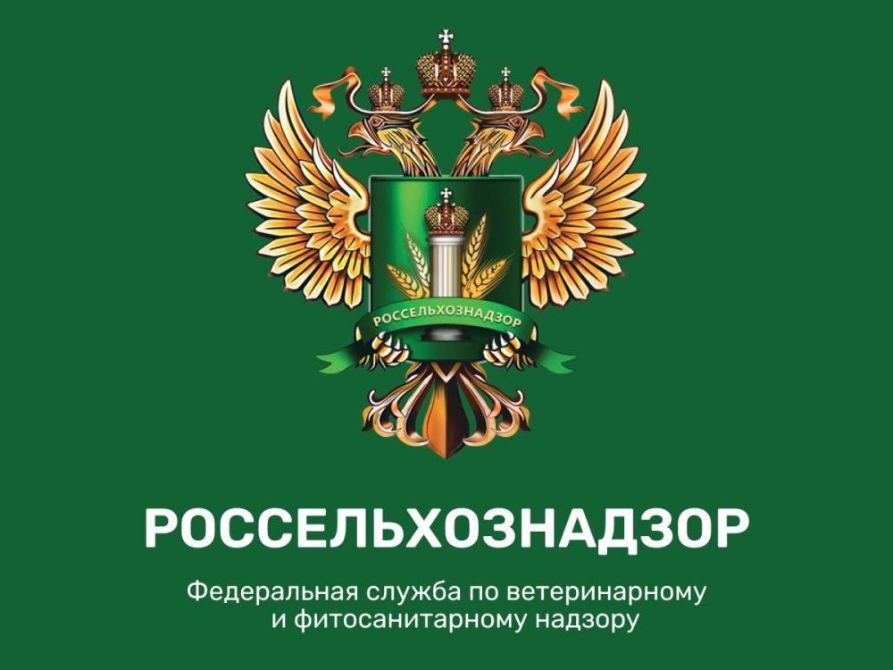 � ������� ���� ������-���� ����������� ����������������� �������� ��������� ��� ��������� �������������� ���������
