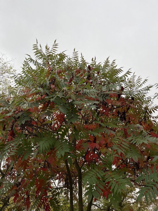 � ������ �����, ������ ����������� �������������� ������!