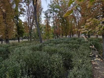 �������� �����: � ��������� ����� ������� ���������� ������