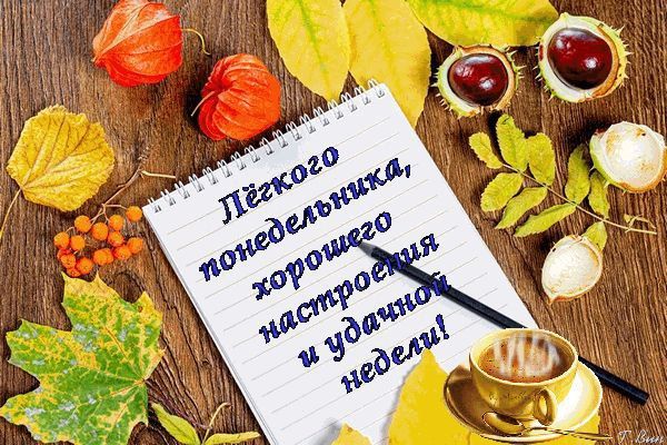 � ������ �����, ������������� �����!