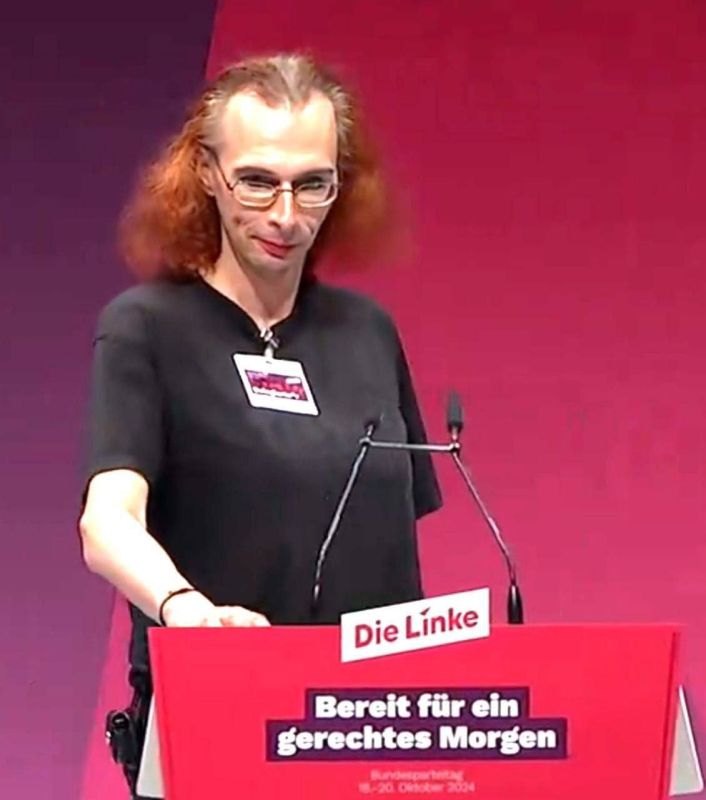 ������ ����������, ������ ��������, �������������� �������� ����� ������ �Die Linke�