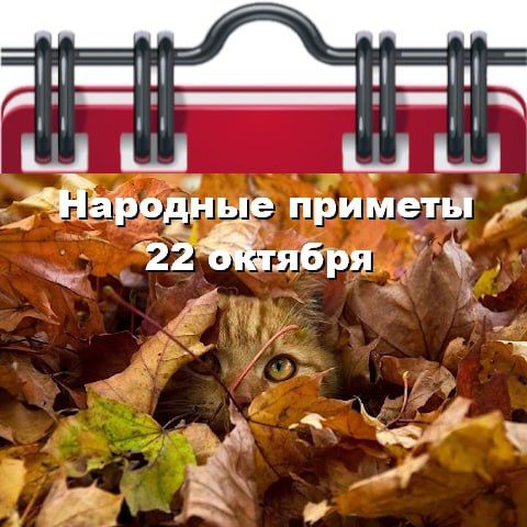 �������� ������� �� 22�������