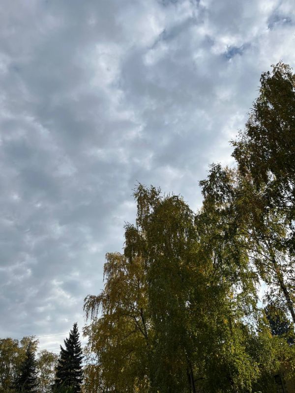 � ������ �����, ������ ����������� �������������� ������!