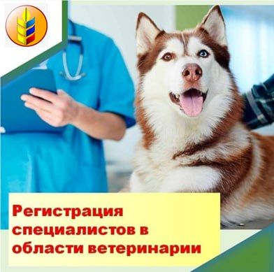 � �������� ���, ������������ ������������������� ������������� � ������� �����������, �� ���������� �������������� ����������� ��������-��������� ������������� ����� ��������� �������� ����������