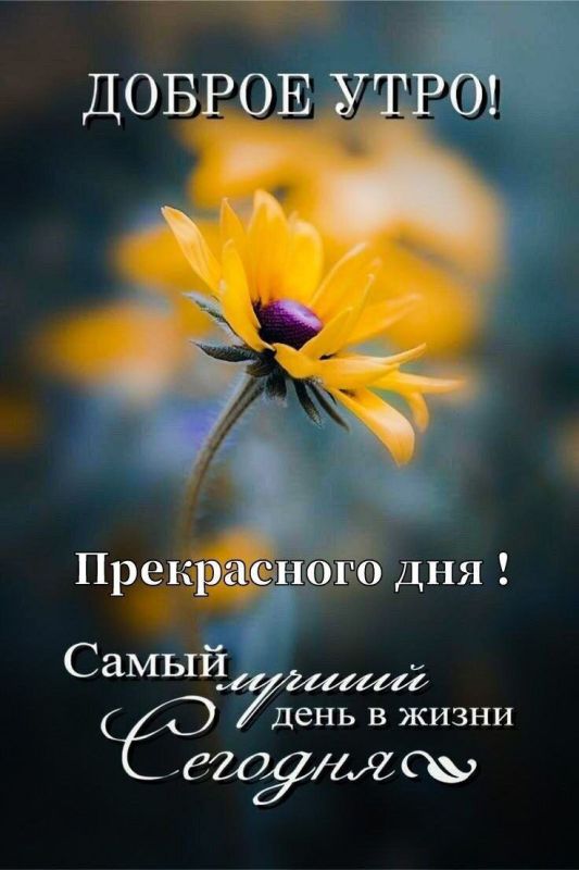 � ������ �����, ������������� �����!