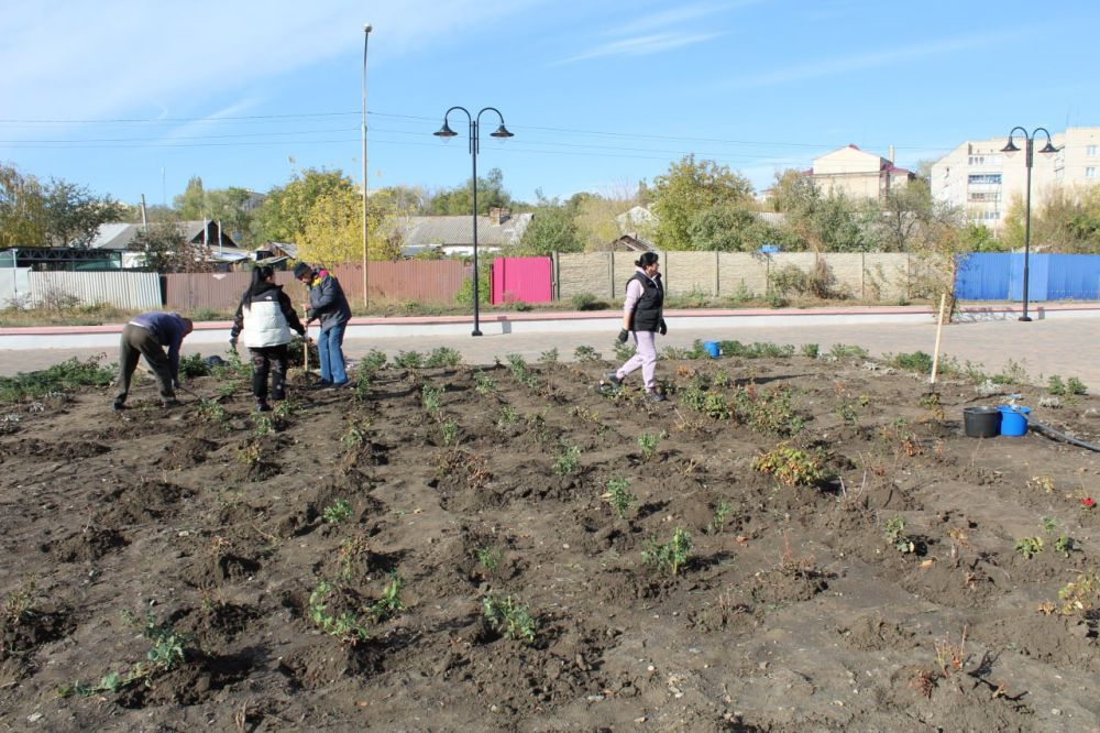 Сергей Козенко: Продолжаем активно работать над тем, чтобы Краснодон стал ещё более красивым и зелёным