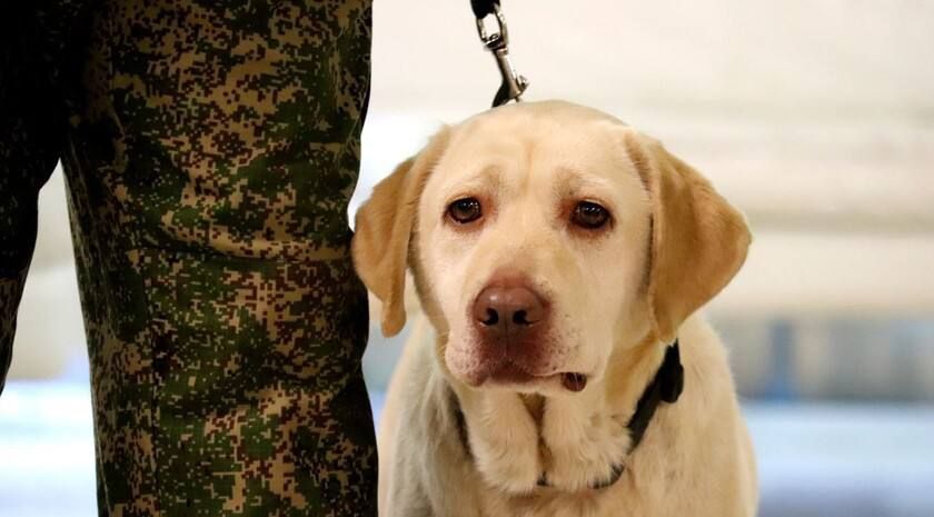 ��������� ������ � �������� �� ������ ����� � � ������ ����� ������ ������� ������������ ��� ������� �������� �����������, ���������� ���������