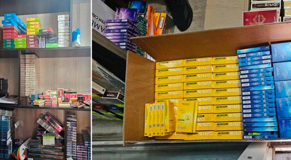 ��������� ������� � 2024 ���� ����� ������ ���������� ��������� � �� ������� ������� ����������� ��������, ��������� �������� � ����������