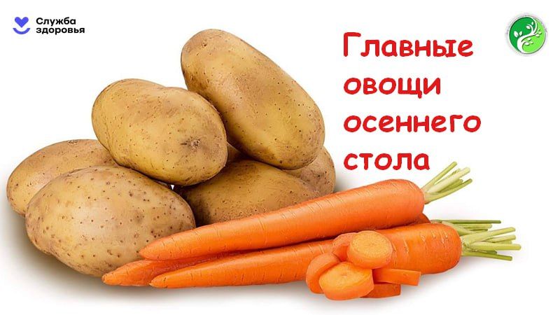 ������ �� ��������� ��������� ���������� ������ ��������, �������, �������