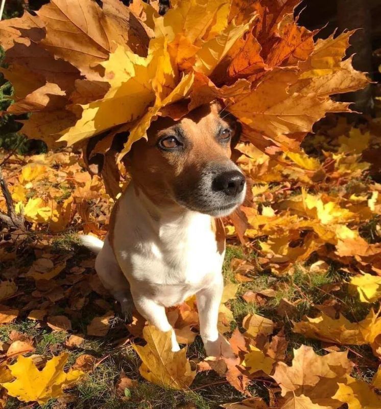 � ������ ����� ������������� �����!