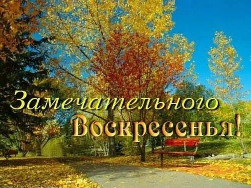 � ������ �����, ������������� �����!