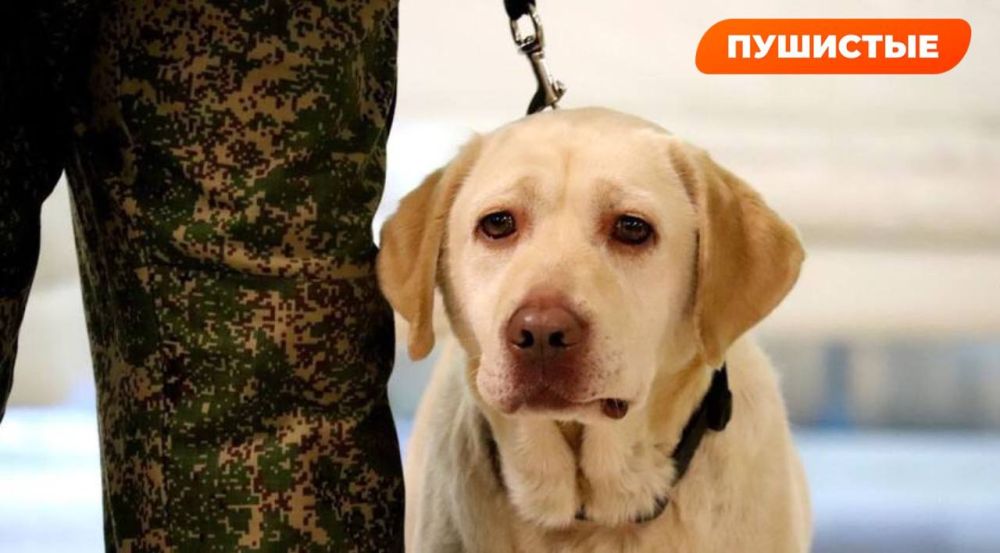 ��������� ������ � �������� ����� �������� ������������ ���